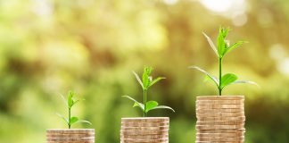 coins and plants representing investment growth