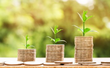 coins and plants representing investment growth