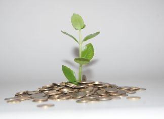 money being wasted to represent the mistakes of stock market beginners