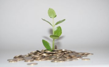 money being wasted to represent the mistakes of stock market beginners