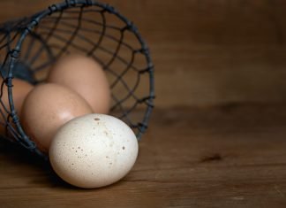 eggs in a basket to represent not diversifying your portfolio