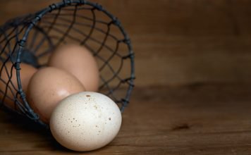 eggs in a basket to represent not diversifying your portfolio